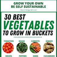 bucket-veg