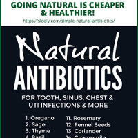 natural-antibiotics